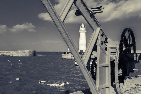 'Crane Framed' by Brian Moore of Belfast u3a